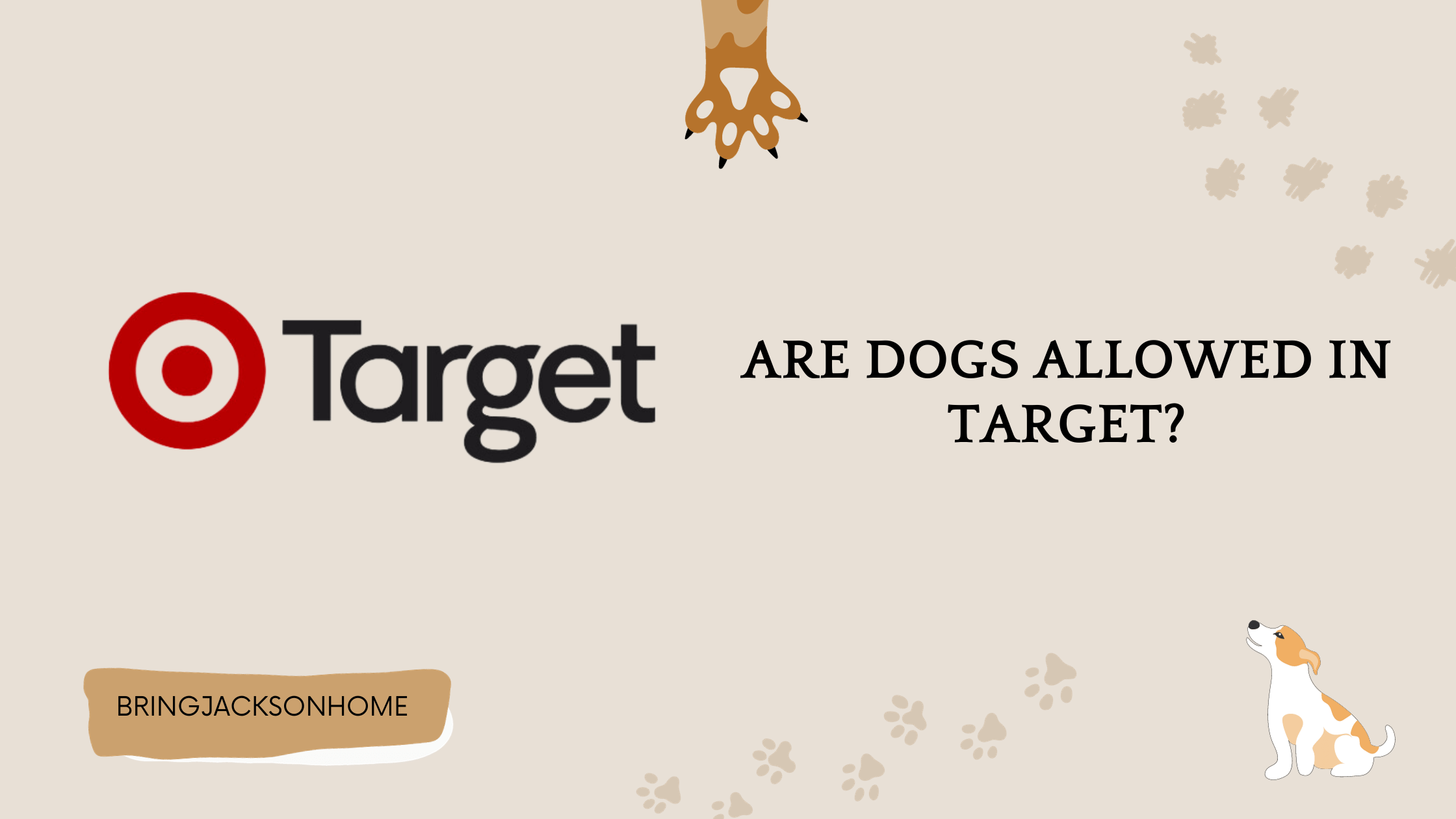Are Dogs Allowed In Target Everything You Need to Know