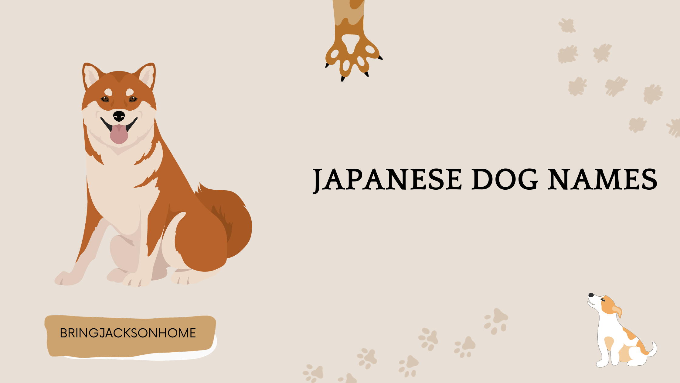 Best Japanese Female Dog Names Shiba Inu Dog Breed Health And Care