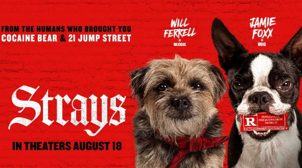 Strays