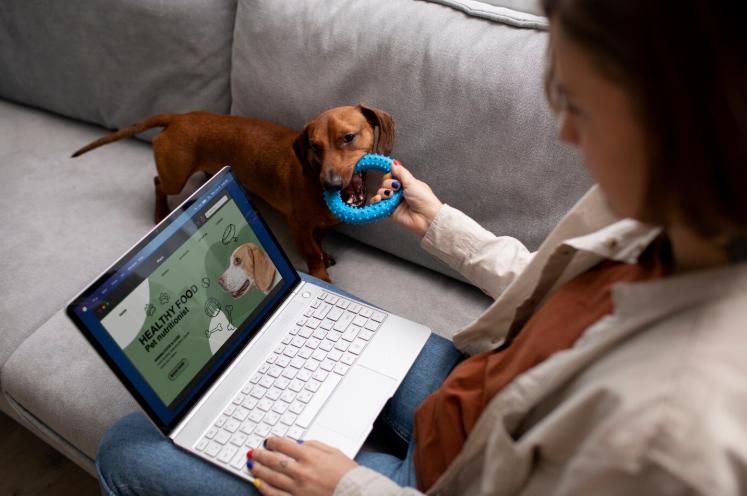 How To Select The Right Pet Insurance for Medication Coverage How To Select The Right Pet Insurance for Medication Coverage