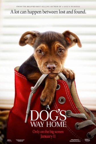 A Dog’s Way Home (2019) A Dog’s Way Home (2019)