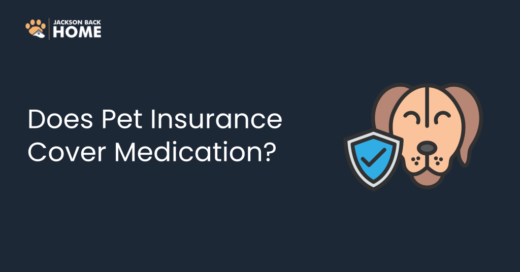 Does Pet Insurance Cover Medication