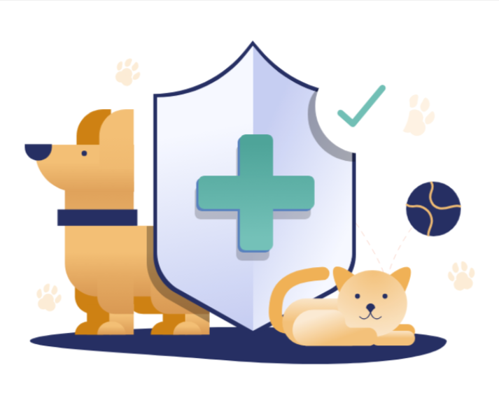 How Pre-Existing Conditions Affect Pet Insurance Coverage How Pre-Existing Conditions Affect Pet Insurance Coverage
