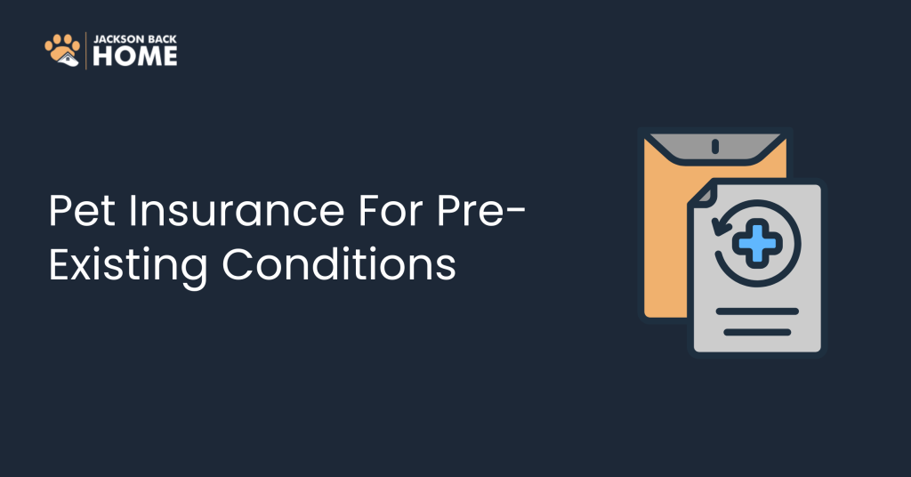 Pet Insurance for Pre-Existing Conditions