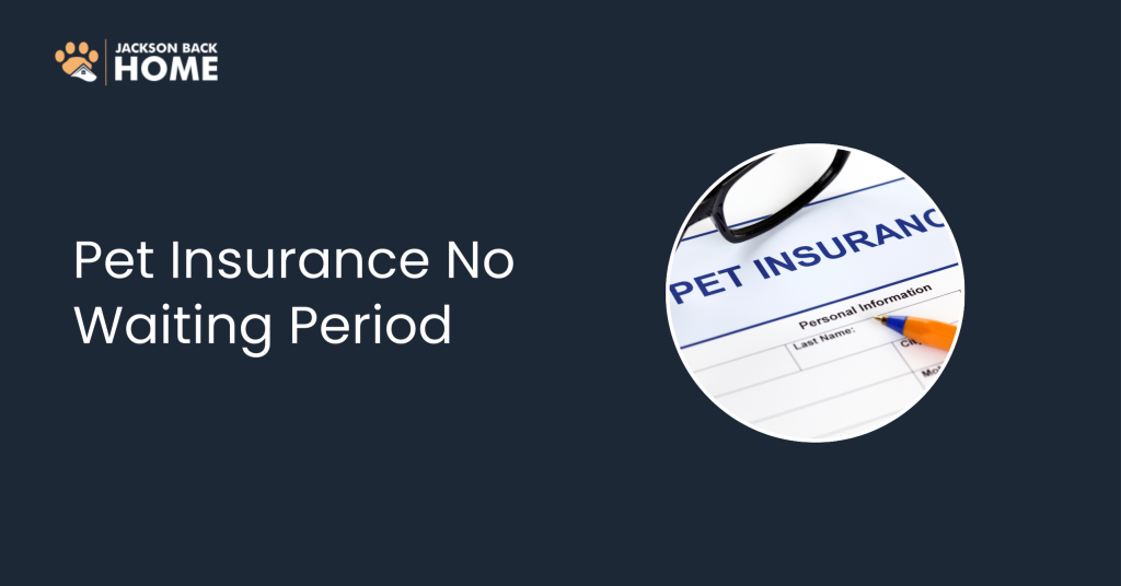 Pet Insurance No Waiting Period