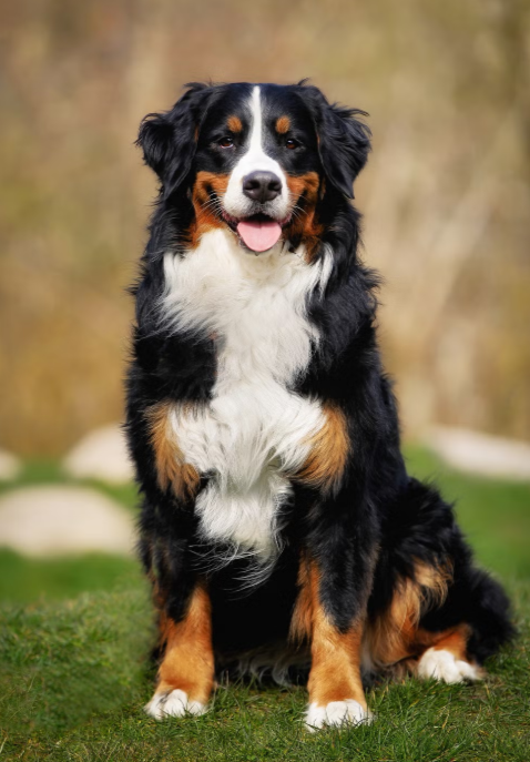 Baxter Baxter