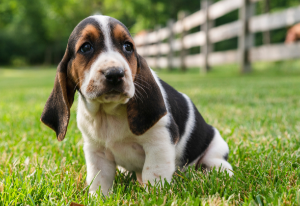 Winston Winston